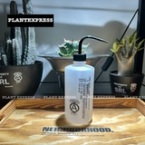 Основной бассейн Bonsai Green Plant Warling Booth Super Fine Spray, сочный садовый цветочный чайник