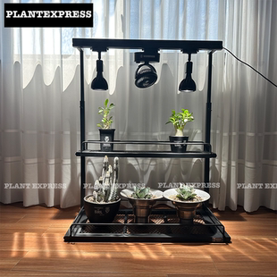 NBHD块根花架补光灯架双层日式桌面爬藤盆栽潮流摆件龟甲龙龙舌兰