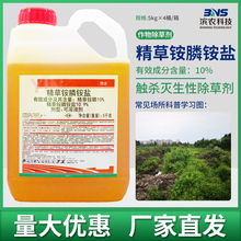 滨农科技10%精草铵磷铵盐非耕地灭杂草牛筋草精草胺磷胺盐除草剂