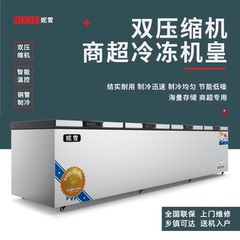 妮雪双压缩机大冰柜冰柜商用卧式冷柜展示柜冷藏冷冻大容量家用