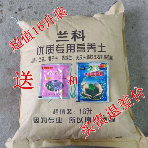 升装名贵专用超值兰花