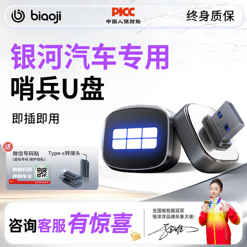 【原车级】银河汽车哨兵U盘