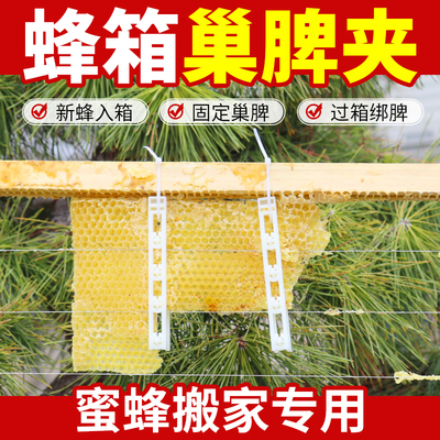 新款巢脾夹子固定蜂巢脾蜂箱养蜂专用诱蜂过箱绑脾夹土养蜂桶固定