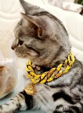 可拍照饰品仿金链子项链配饰巴哥泰迪犬恶霸猫咪狗狗铃铛项圈宠物