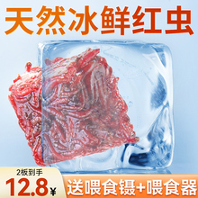 冰冻红虫牛心汉堡鱼食丰年虾罗汉鱼食七彩神仙鱼粮鱼六角恐龙饲料