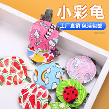 炫彩小乌龟活物网红七彩卡通乌龟宠物好养耐活彩龟彩色小动物活物
