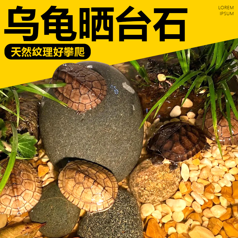 天然乌龟晒台石爬台扁鹅卵石晒背休息鱼缸造景装饰养龟专用溪流石