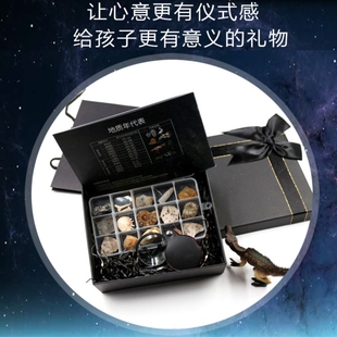 36种天然矿石化石菊石岩石标本盒水晶三叶虫儿童创意科普教学礼物