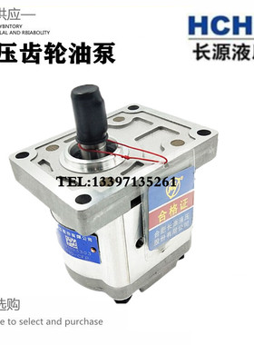 合肥长源齿轮油泵CBW-F304/306/310-AFPL/CLPL/ALP/CLP高压液压泵