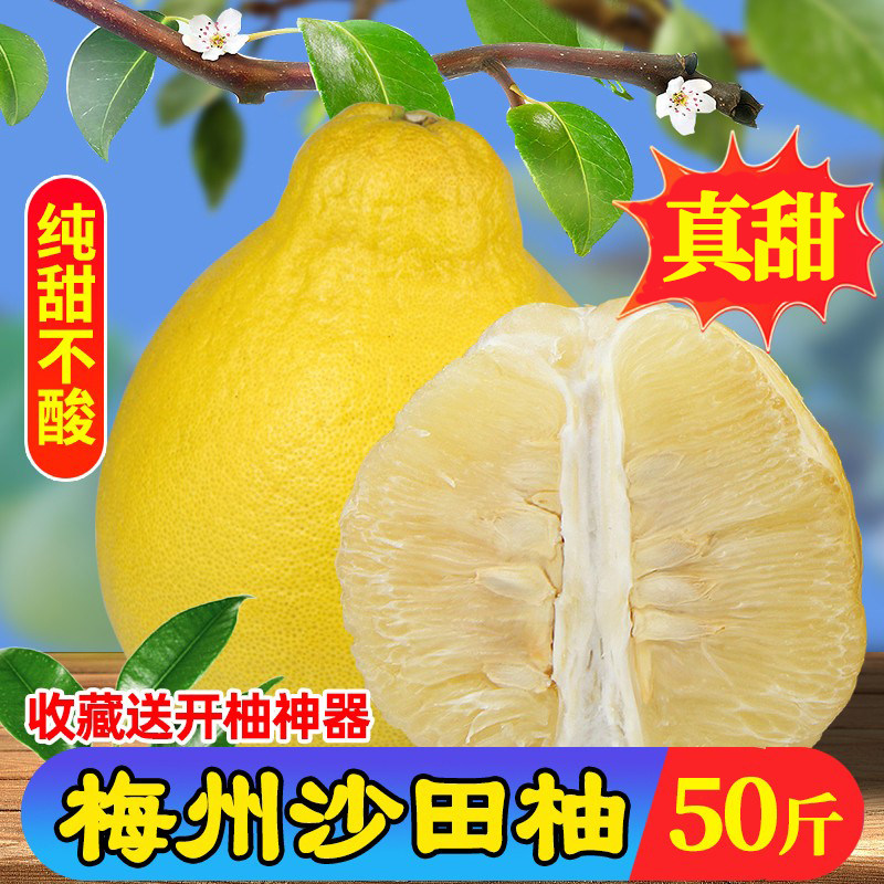 精选大果正宗梅州沙田柚纯甜