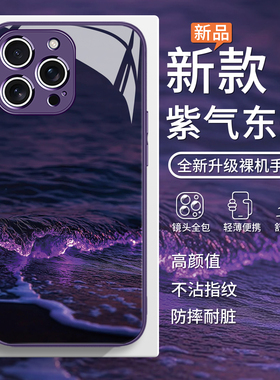 适用苹果16pro紫气东来手机壳iphone17promax新款15plus高级感13/14紫色12p个性苹果11蛇年pro玻璃max防摔15