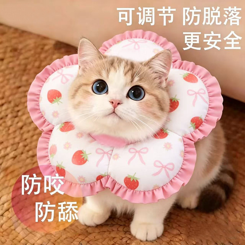 猫咪伊丽莎白圈脖套绝育幼猫伊利沙白项圈脖圈宠物圈狗狗防舔神器