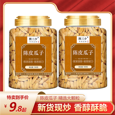 陈皮味瓜子香橙橙皮2024新货打手官方旗舰店零食批发5斤装葵花籽