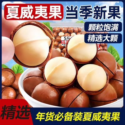 夏威夷果坚果正品官方旗舰店2025年新货整箱5斤无添加纯干果原味