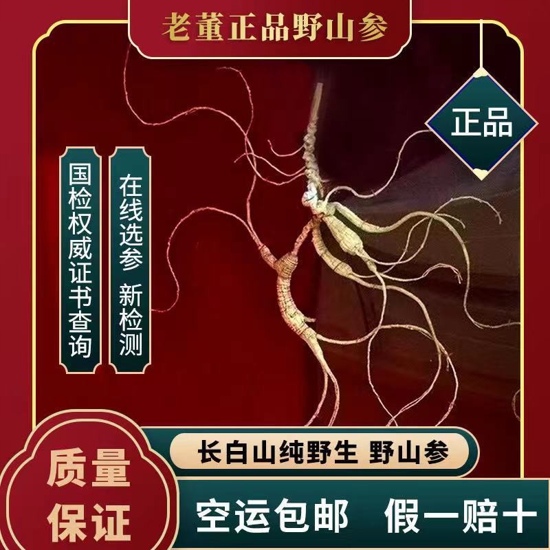国检特等野山参长白山纯正野生人参礼盒可送礼可收藏镇店好货