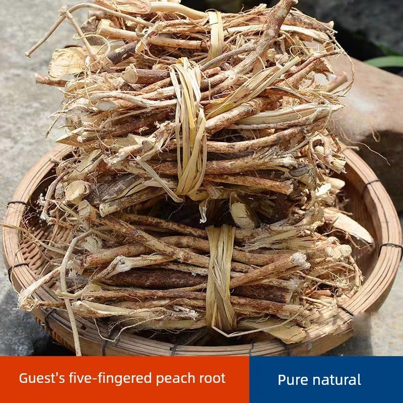 正宗野生五指毛桃根中药材泡酒五爪龙煲汤材料干货福建