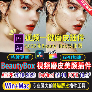 Beauty Box v6 视频人像磨皮美颜美白降燥 AE/PR/FCPX/达芬奇插件