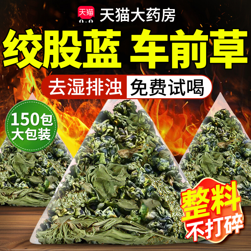 绞股蓝车前草茶叶中药材官方旗舰店正品袋泡茶泡水喝的功效与作用
