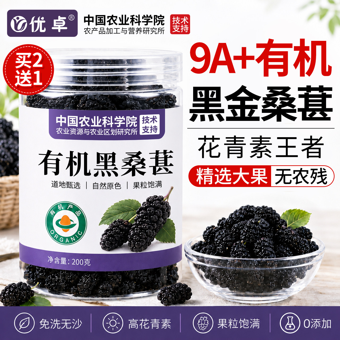 桑葚干黑桑椹特级有机黑桑葚干中药材免洗泡水泡茶专用官方