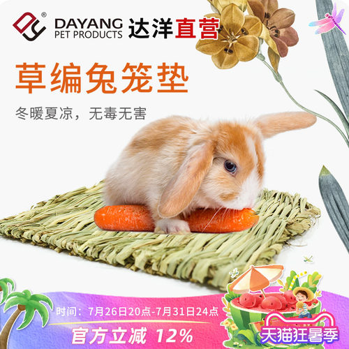 达洋编织磨牙兔用草垫小宠用豚鼠