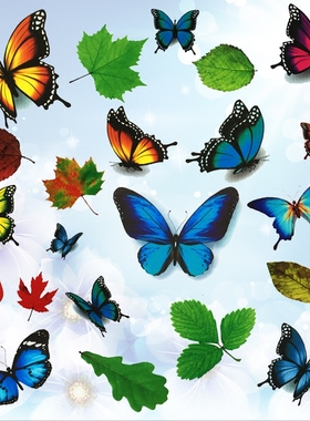 汽车贴纸蝴蝶车贴遮挡划痕车身小图案电动车创意贴画贴花装饰遮盖