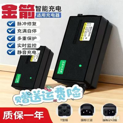 适用金箭冠能电动车充电器