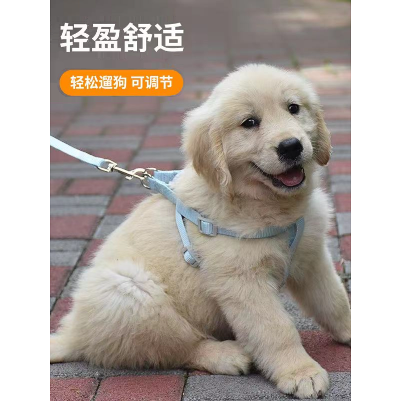 拉布拉多幼犬牵引绳金毛萨摩耶胸背式遛狗绳大小型犬外出狗链