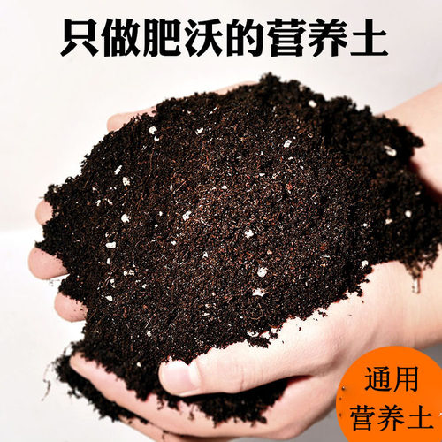 适合一年四季养的花懒人阳台种花营养土蔬菜有机花肥多肉土育苗