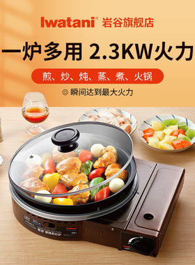 岩谷便携煎炒炉ZGP-3煎烤多功能卡式炉烧烤火锅燃气炉家用烤肉