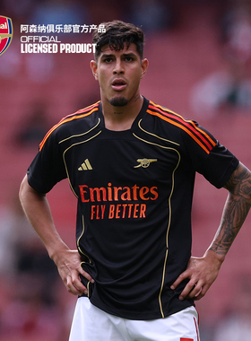 ARSENAL x NTS联名款官方正品短袖T恤JX5236