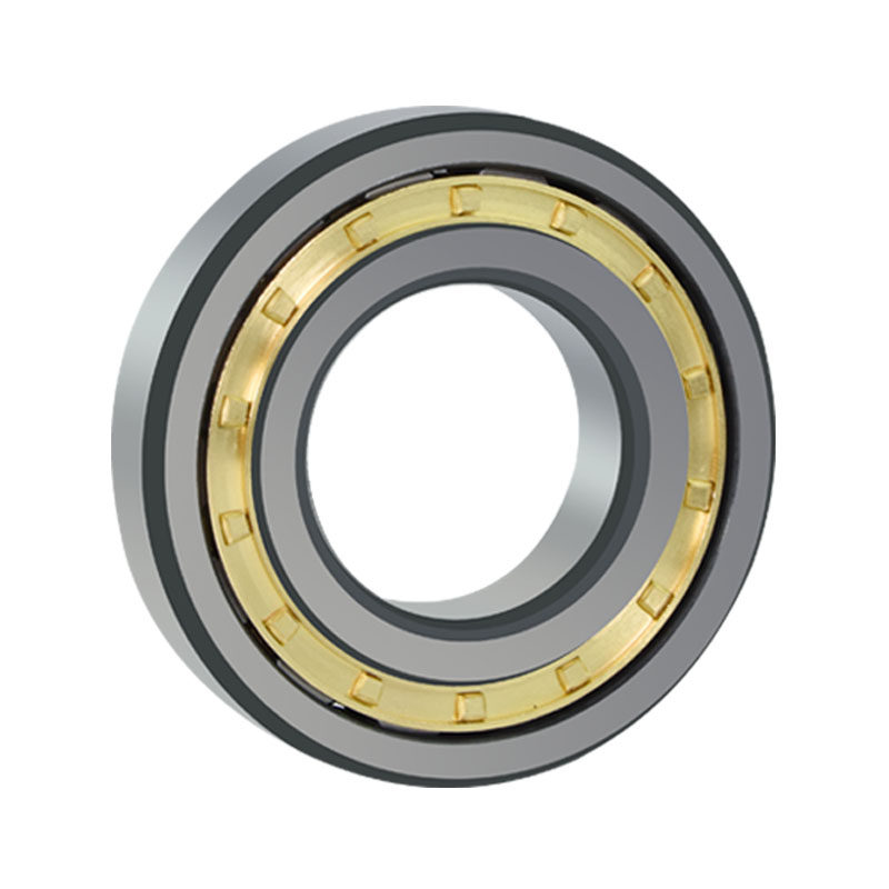 日本进口减速机偏心轴承RN205 206 307 309 310 312 219 222 228M