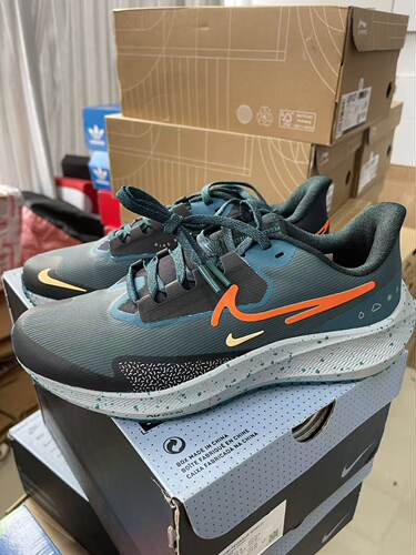 Nike Air ZoomPegasus39Shield DO7625-300 拍前阅读详情页 022仓