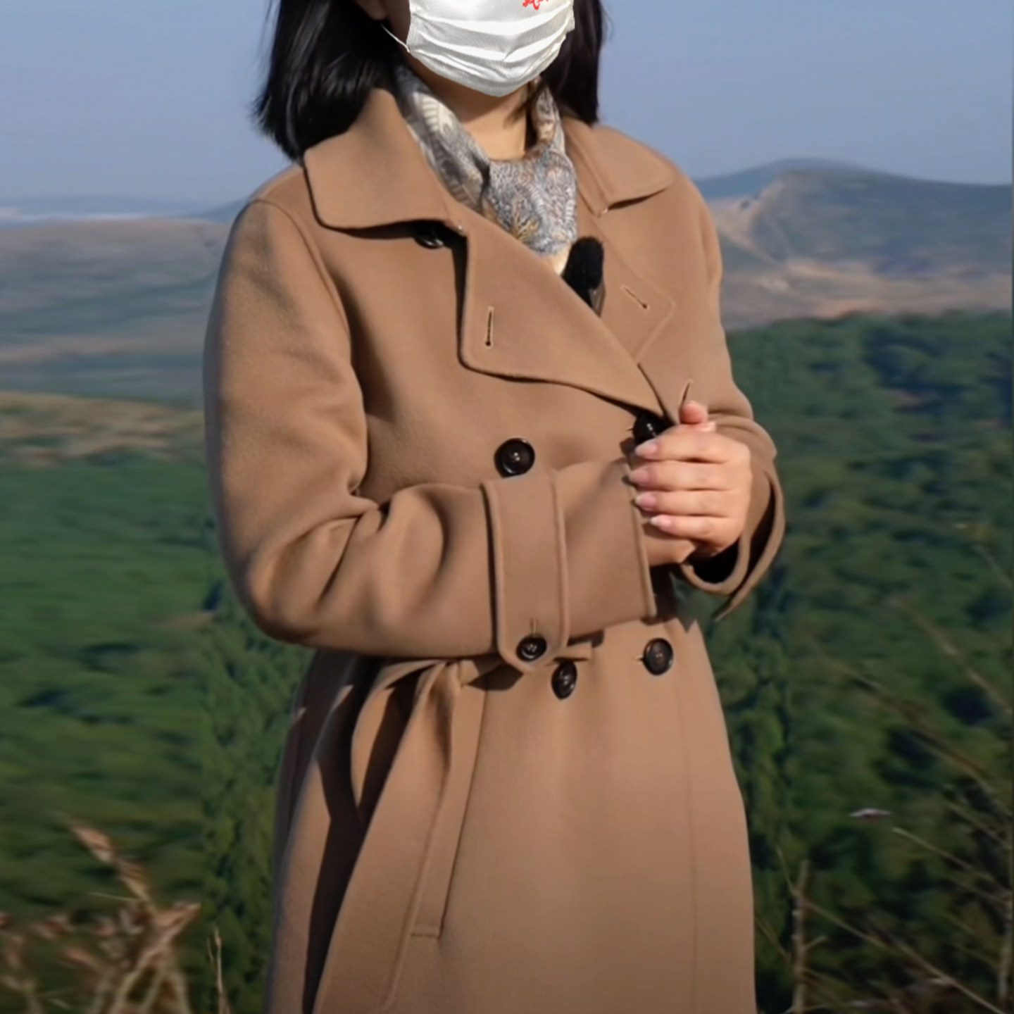 气质赫本风毛呢外套中长款