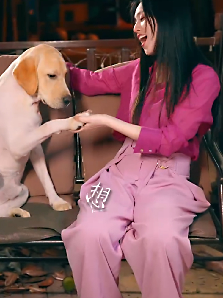 高级感粉色西装阔腿裤2022年夏