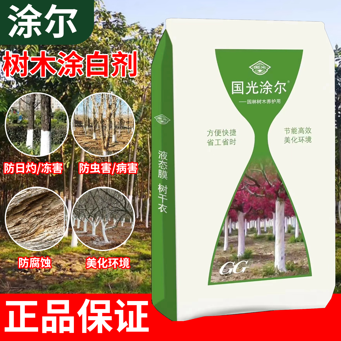 国光树干涂白剂涂抹果树园林专用