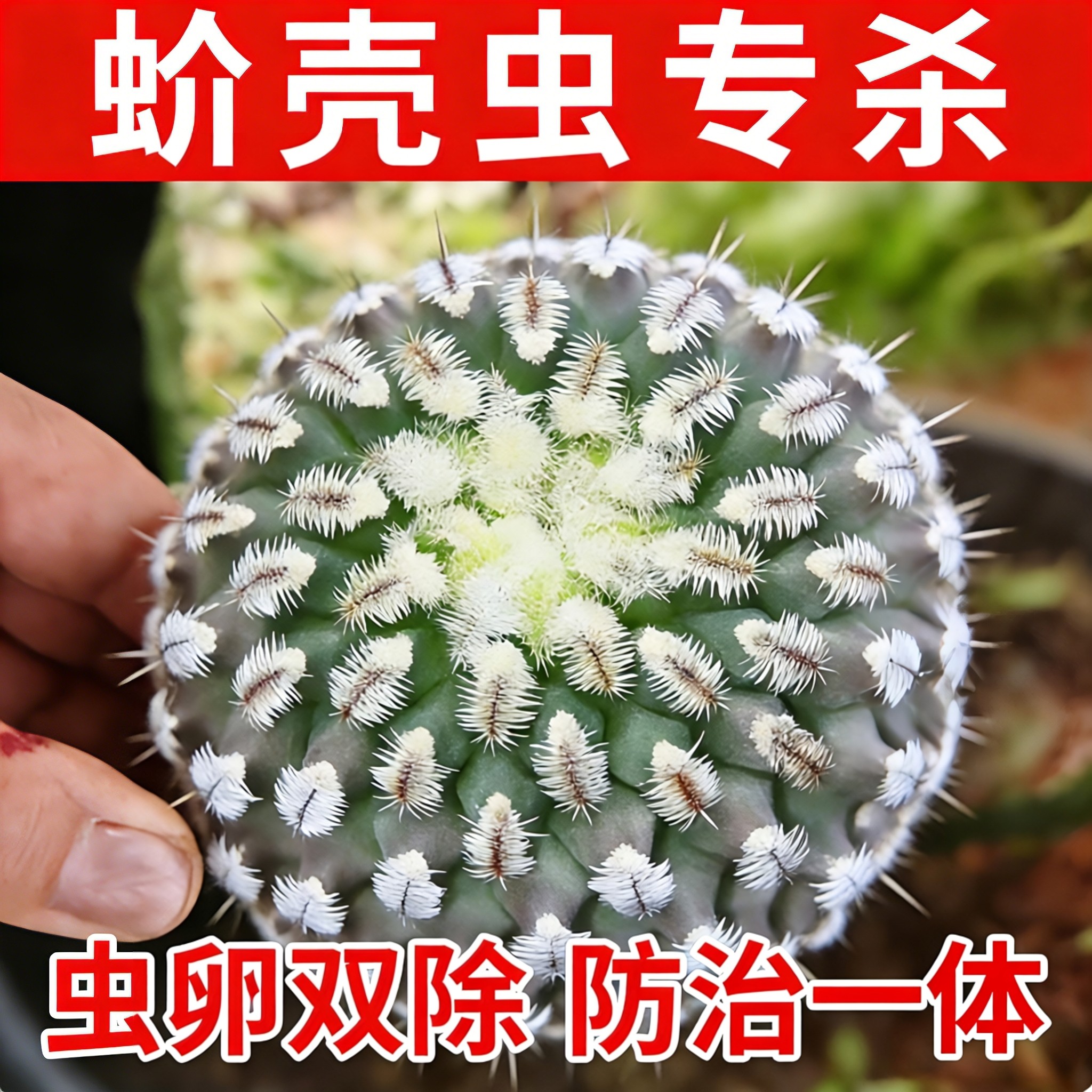 多肉蚧壳虫专用药国光卓圃蚧必治观赏植物花卉蚧壳虫专用杀虫剂