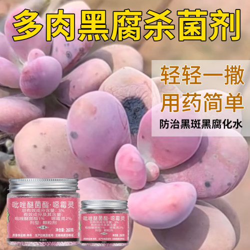 多肉黑腐专用小粉药杀菌植轻松勇冠3%吡唑醚菌酯噁霉灵根部颗粒剂