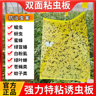 双面型粘虫板果园大棚家用黄板诱杀小黑飞蓟马蚜虫粉虱潜叶蝇蚊蝇