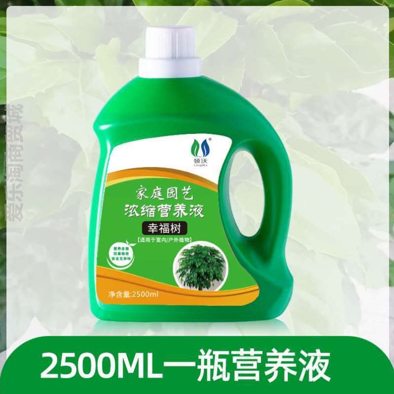 叶家散尾葵碗莲庭院肥水种菜园艺营养液专用绿萝肥料花水用生根 鲜花速递/花卉仿真/绿植园艺 家庭园艺肥料 原图主图