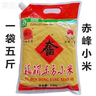 福润东方小米5斤内蒙赤峰大金苗月子小米天山岗台大金苗包邮
