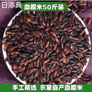 东北血糯米50斤商用黑糯米紫米粘黏新米包粽子饭团奶茶店专用杂粮