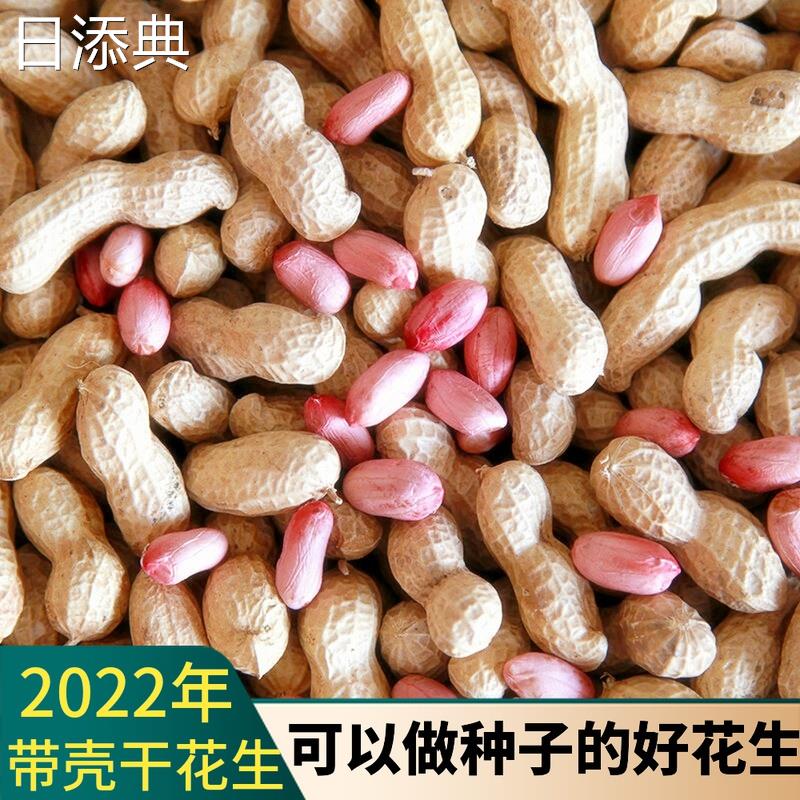 新鲜带壳生花晒干高产种