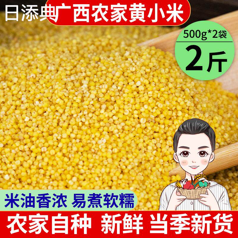 广西农家小米新米小黄米2斤吃小米粥黄小米粮食月子米杂粮非东北