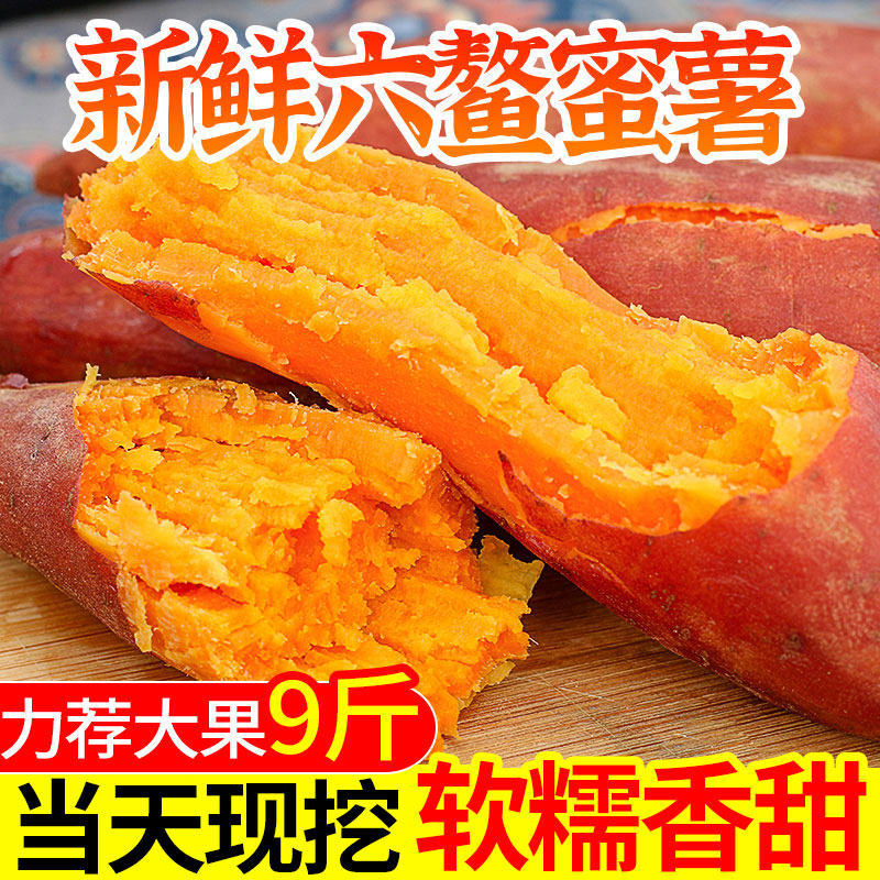 六鳌红蜜薯现挖新鲜板栗红薯10斤当季蔬菜沙地西瓜红著地瓜番薯5
