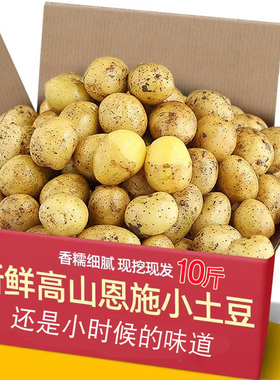 恩施小土豆现挖湖北新鲜黄心土豆10斤当季蔬菜整箱迷你马铃薯洋芋