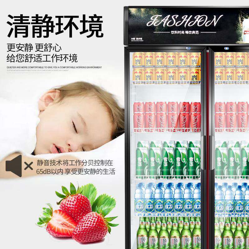 饮料柜保鲜立冷藏示柜单门式展冷柜双大承熙开门商用超市冰箱冰柜