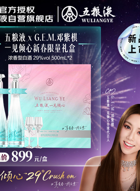 【邓紫棋推荐】29度五粮液一见倾心限定礼盒500mL*2瓶白酒礼盒