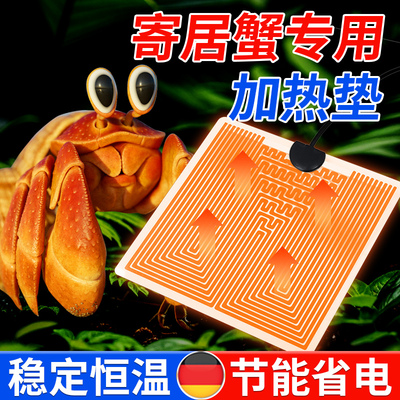 寄居蟹专用加热垫爬宠虫饲养箱温控器自动恒温守宫蜘蛛蛇乌龟过冬