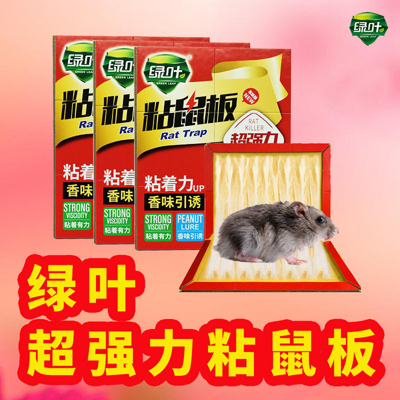 绿叶(Green Leaf)超强力粘鼠板灭捕鼠家用粘大老鼠黏板鼠属于什么档次？