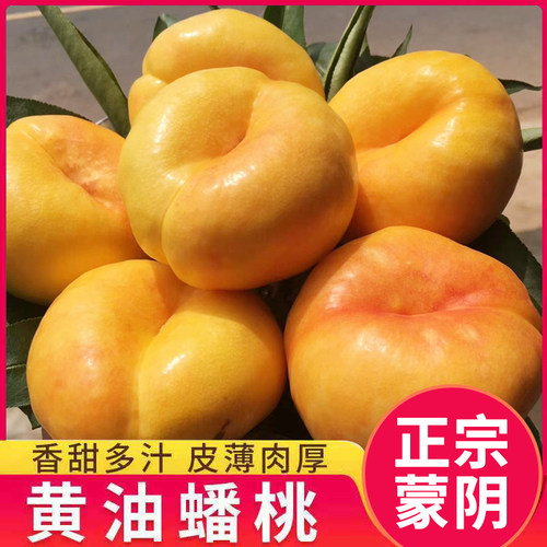 山东蒙阴黄金油桃黄油蟠桃脆甜无毛黄桃时令水果当季新鲜采摘整箱